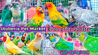 Uluberia pet market  Birds pirce updated 10082024 Uluberia pakhir haat cheapest sale viral [upl. by Bamberger512]