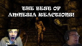 The BEST of Amnesia  Reactions Funny [upl. by Ttennej]