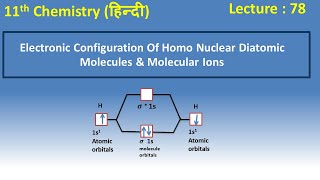 Electronic Configuration of Homonuclear Diatomic Molecules amp Molecular ions  Class 11  Chemistry [upl. by Gwen]