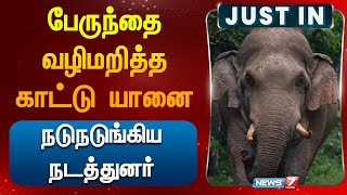 பேருந்தை வழிமறித்த காட்டு யானை நடுநடுங்கிய நடத்துனர் elephant attacked bus conductor Manjolai [upl. by Anelaj]