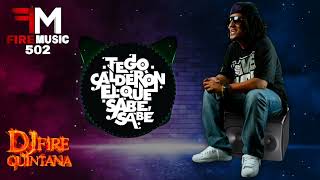 Tego Calderon Mix Reggaeton Old School Lo Mejor 🔥 Dj Fire Quintana [upl. by Sivraj696]