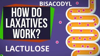 LAXATIVES  PURGATIVES  LACTULOSE  BISACODYL  STOOL SOFTENERS  OSMOTIC LAXATIVES  BULK LAXATIVE [upl. by Truscott]