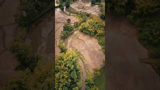 Beautiful Bird eye view 😍canitakeaphoto photographer cinematography naturephotography [upl. by Naie322]