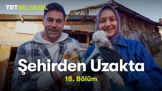 Şehirden Uzakta  Bolu  Fırınlık Köyü  TRT Belgesel [upl. by Melony]