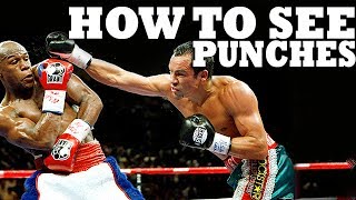 How to See a Punch Coming in Boxing MMA or Street Fight [upl. by Alberic]