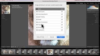 New Customization Feature in Lightroom Classic CC [upl. by Wallack]