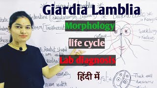 Giardia Lamblia  Morphology  Life Cycle  Lab Diagnosis  Giardiasis in hindi [upl. by Templeton]