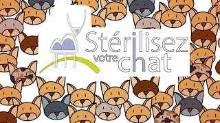 Stérilisez vos chats  Le Rendezvous BEA 15 [upl. by Allesiram]