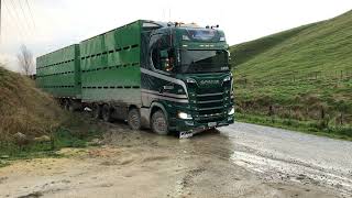 Martinborough truck out in mud [upl. by Loesceke]