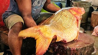 I Never Seen Giant Carp Fish Cutting Live In Fish Market  Fish Cutting Skills [upl. by Odlabso]