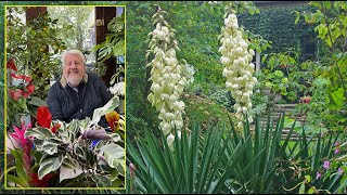 YUCCA  UN STYLE MODERNE DES FLEURS À FOISON UNE TOUCHE D’’EXOTISME Le Quotidien du Jardin N°314 [upl. by Rekoob]