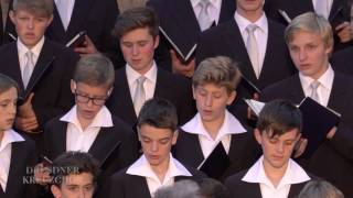 21 Juni quotIn einem kühlen Grundequot  Dresdner Kreuzchor im Burghof Meißen [upl. by Tekcirc393]