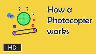 How photocopiers work [upl. by Ygief]