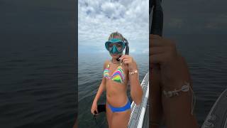 First dive of the 2024 Scallop Season in Homosassa FL shorts scallop florida keepinitcountry [upl. by Ramej]