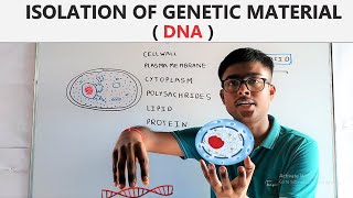 PART1 ISOLATION OF THE GENETIC MATERIALDNAPROCESSES OF RDTCLASS 12TH BIOLOGY CHAPTER 9 NCERT [upl. by Irehs]