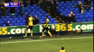 Troy Deeney  Watford FC Season 201314  All Goals [upl. by Mirna]