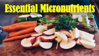 Sources of Essential Micronutrients Vitamins and Minerals [upl. by Belva]