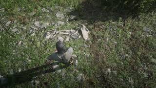 Dinosaur Bone 25 Red Dead Redemption  Heartlands Abandoned Shack Bone Location [upl. by Ibbor]