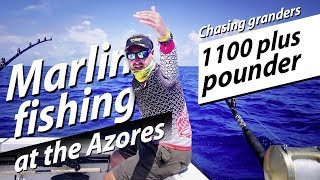 Big game fishing  Blue Marlin GRANDER jumping  Hochseeangeln Atlantik [upl. by Aschim]