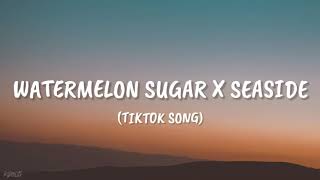 Harry Styles  Watermelon Sugar x Seaside  SEB Tiktok Song [upl. by Lydnek]