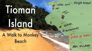 Tioman Island  Monkey Beach Hike  Jungle Forest Hiking Tips 2  Malaysia  2020 [upl. by Nena]