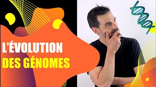 COURS DE TERMINALE SPÉCIALITÉ SVT  CHAP4 LÉVOLUTION DES GÉNOMES Bio Logique [upl. by Kahcztiy]