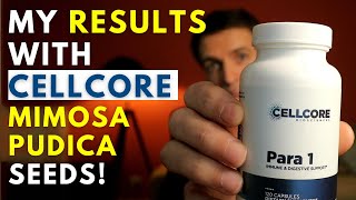 CELLCORE Para1 Mimosa Pudica Seed Review Results Side Effects [upl. by Eimyaj43]