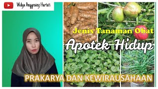 JENIS TANAMAN OBAT APOTEK HIDUP  TEMULAWAK JERUK NIPIS SIRIH PATAH TULANG  PKWU [upl. by Atiker]