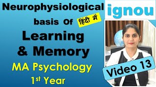 Neuro Psychological Basis of Learning amp Memory loss amnesia Cognitive Psychology IGNOU MA Hindi [upl. by Flemings]