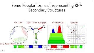 RNA structure prediction nussinov jacobson algorithm [upl. by Drolyag]