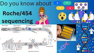 Roche  454 sequencing dnasequencing genetics molecularbiology [upl. by Ellata]