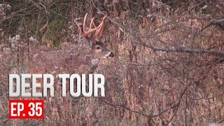 CRAZY RUTTING FOOTAGE Intense Deer Vocalizations  DEER TOUR E35 [upl. by Letnwahs]