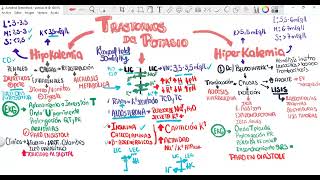 Trastornos del Potasio Hipopotasemia e Hiperpotasemia Hipo e hiperKalemia [upl. by Nannah]