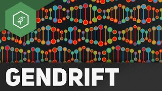 Gendrift  Flaschenhalseffekt Gründereffekt – Evolutionsfaktoren 2 [upl. by Demeter]