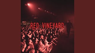 Red Vineyard [upl. by Aseneg]