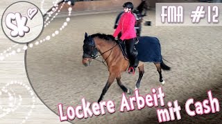 Komm mit in den Stall Lockere Arbeit mit Cash  03032018 [upl. by Husha]