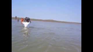 Wadlopen Ameland geul [upl. by Vastah]