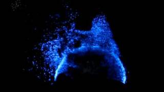 Bioluminescence Bioluminescent water [upl. by Barsky449]