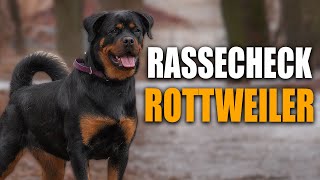 ROTTWEILER Rassecheck  Rasseportrait Rassebeschreibung Informationen zur Rasse [upl. by Fishman]