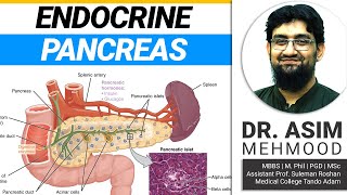 Endocrinology  Biology of Endocrine Pancreas  Hindi  Urdu [upl. by Scully]