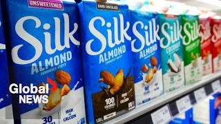 Silk Great Value plantbased milks recalled in Canada for potential Listeria contamination [upl. by Gwennie]