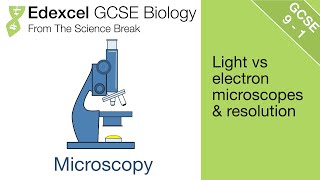 Edexcel GCSE Science and Biology  Introduction to Microscopes [upl. by Hutchison948]