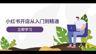 01 01 授权模式解答 小红书开店从入门到精通，快速掌握小红书店铺运营，实现开店创收 202节课 [upl. by Ylebmik]