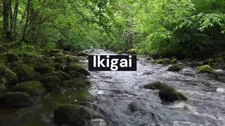 Satisfacción de vida Ikigai [upl. by Anawed]