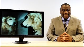 Titan Guy Channel Trailer  ft Big Man Tyrone [upl. by Bogusz]