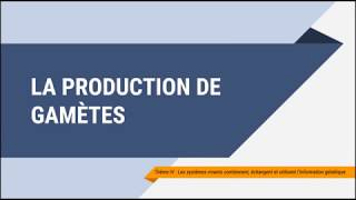 La production de gamètes [upl. by Hatokad]