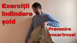 Exercitii intindere sold  prevenirea coxartrozelor [upl. by Ahsilahk]