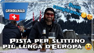 GRINDELWALD pista per slittino più lunga dEuropa😀 [upl. by Louisette]