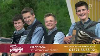 Brennholz  Ein Sommer wie damals  Immer wieder Sonntags vom 21072024  DAS ERSTE [upl. by Richman864]