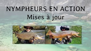 Financement « Nympheurs en action » 1200  2000 € Mises à jour [upl. by Sherwin427]